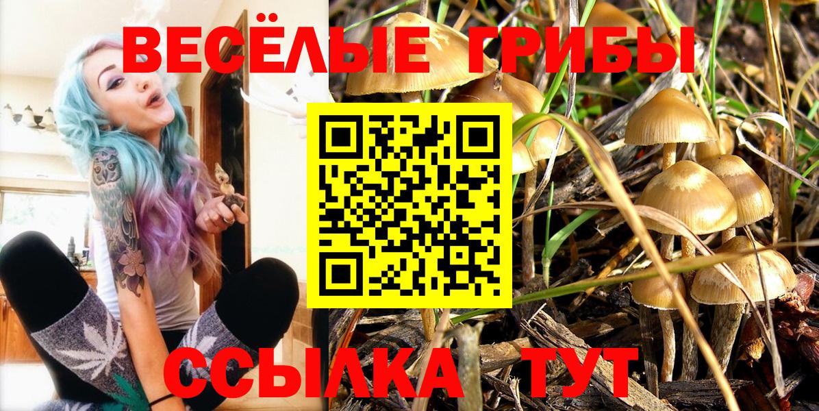 Галлюциногенные грибы ЛСД Курчалой