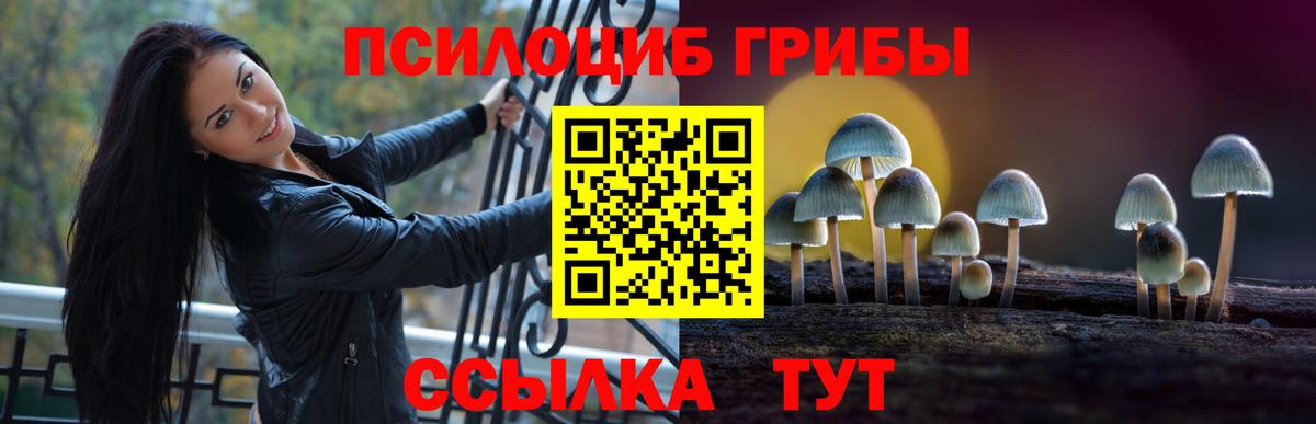 Псилоцибиновые грибы мицелий  Галлюциногенные грибы Psilocybine cubensis  Курчалой  Вход с VPN 