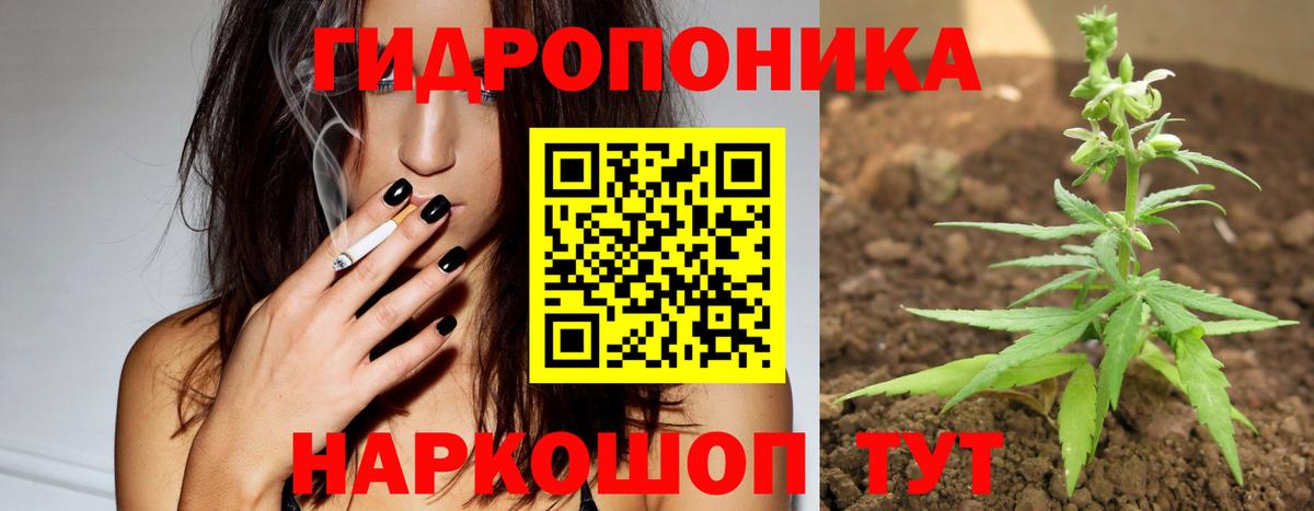 Канабис LSD WEED  Бошки марихуана VHQ  Конопля план  Курчалой  Вход с VPN 