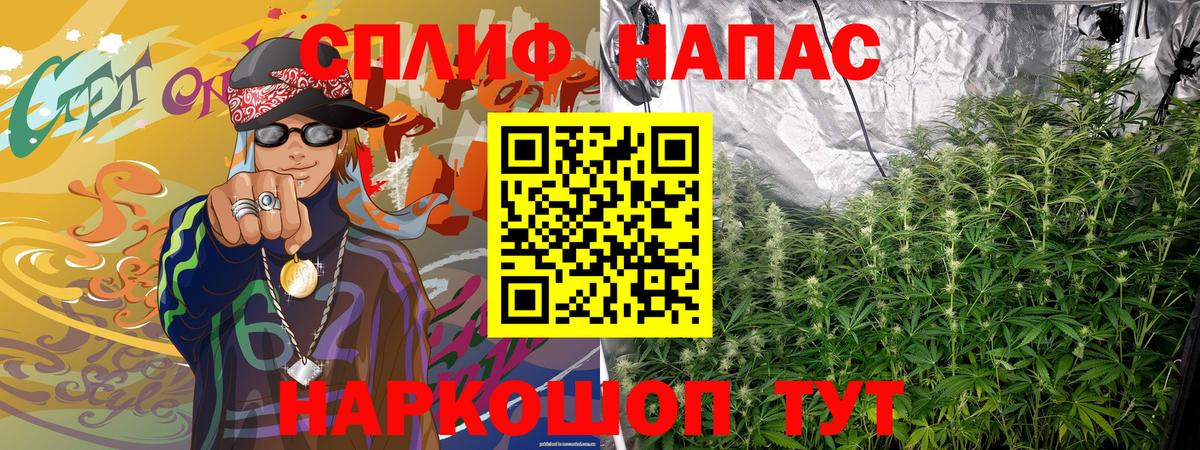 Канабис OG Kush Курчалой